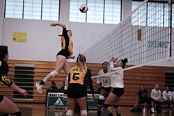 Young female in yellow and black jersey is spiking volley ball to females in white jerseys.