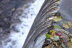 Close up of a water fall with red, yellow, green leaves at the edge.