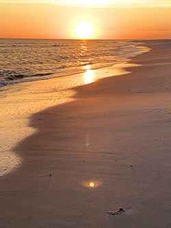 Photo of a beach with the sunset in background.