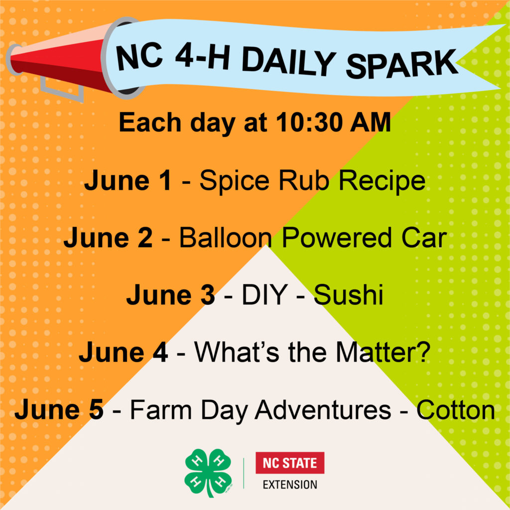 4-H Daily SPARK Week 11