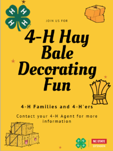 HayBaleDecoratingFun