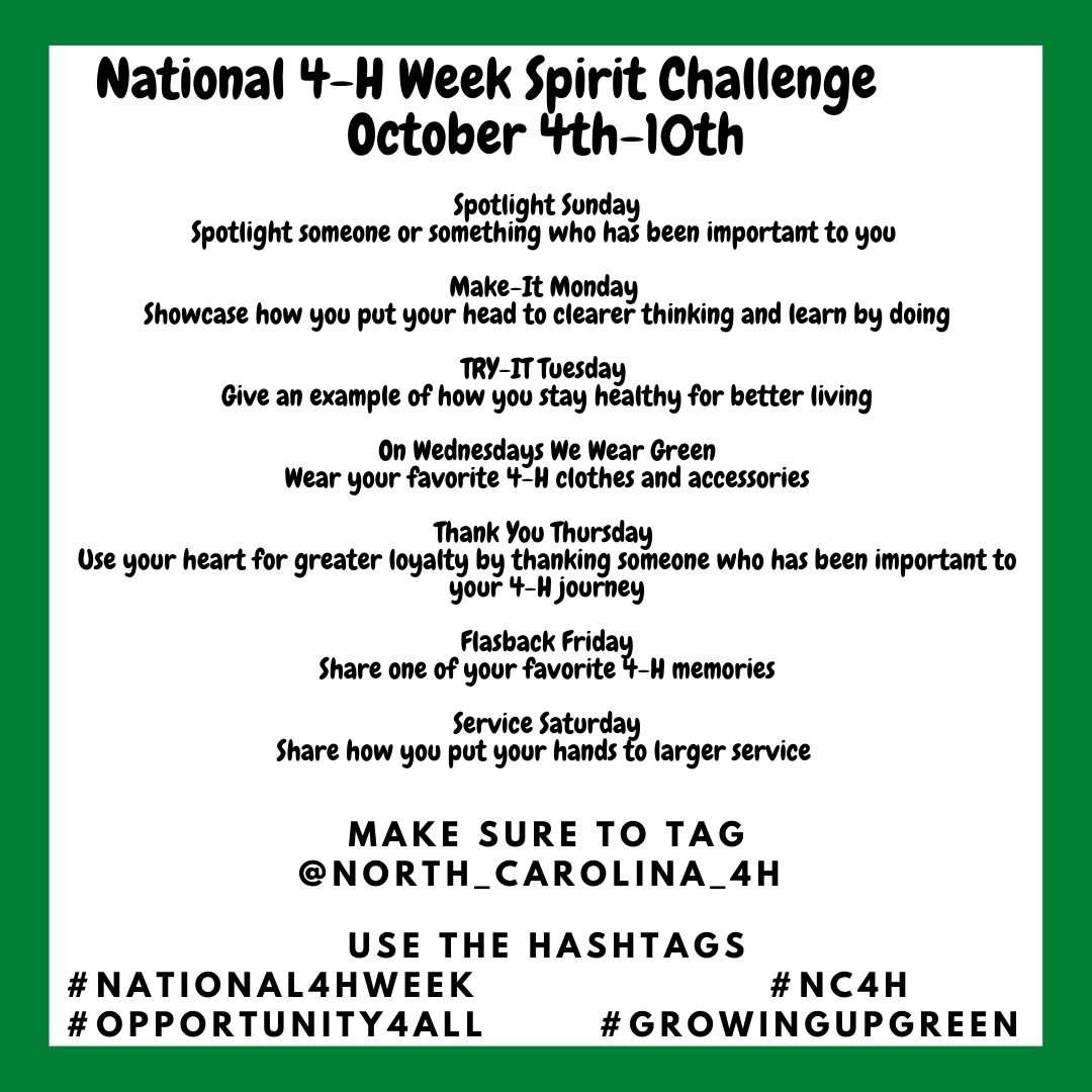 Graphic of Spirit Challenges for National 4-H Week.