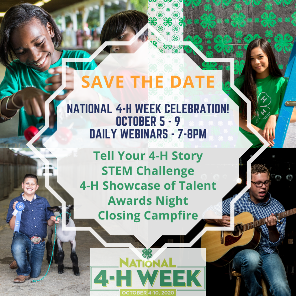 Celebrate National 4-H Week With Currituck County