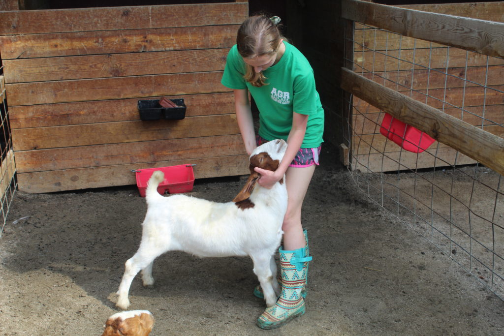 girl with her goat