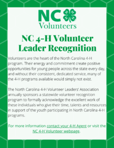 flyer for volunteer leader recognition