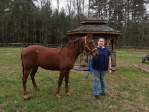 4-H'er with horse in front of gazebo