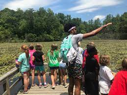 Photo of Outdoor Education Instructor teaching children at beaver pond.