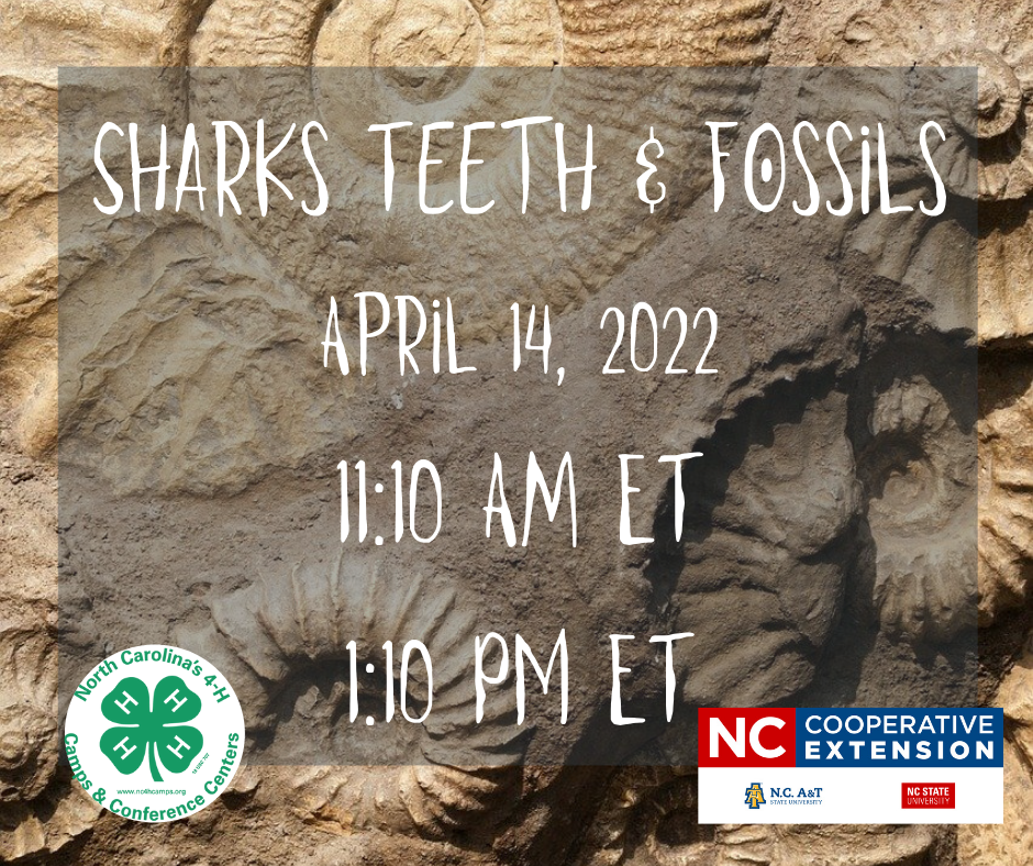 4-H Sharks Teeth and Fossils event poster
