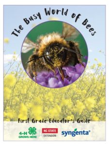 Bees curriculum, first grade