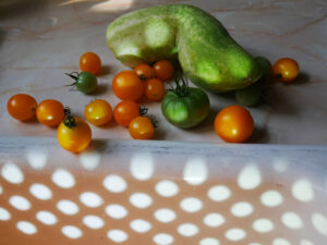 Cucumber with green and red tomatoes in the shadow of a sieve