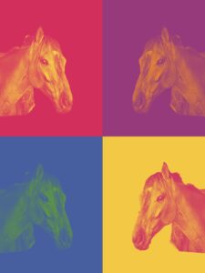 Color Block horse print with red, purple, blue, and yellow
