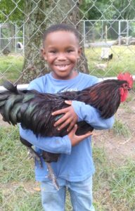 4-H'er with a huge grin, holding a rooster