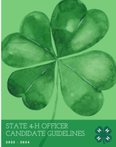 Cover image for guideline book.