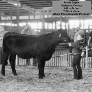 Livestock Show