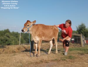 Girl and Jersey Cow